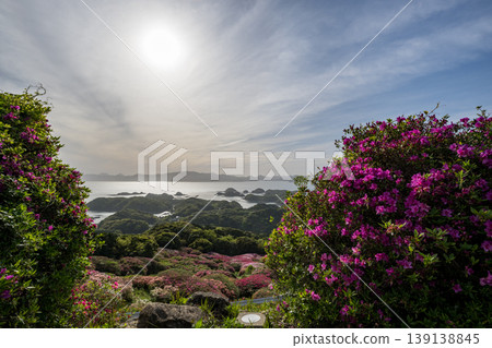Azaleas in bloom, the sun setting over the sea Azaleas in bloom, the sun setting over the sea 139138845