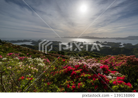 Azaleas in bloom, the sun setting over the sea 139138860