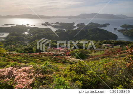Azaleas in bloom, the sun setting over the sea 139138866