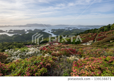 Azaleas in bloom, the sun setting over the sea Azaleas in bloom, the sun setting over the sea 139138871