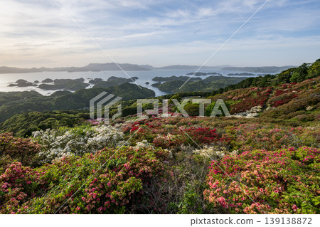 Azaleas in bloom, the sun setting over the sea Azaleas in bloom, the sun setting over the sea 139138872