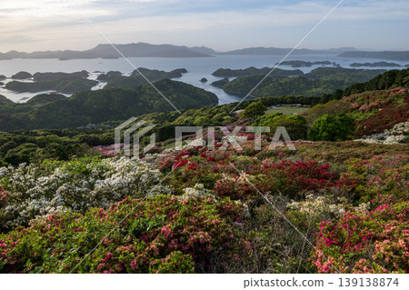 Azaleas in bloom, the sun setting over the sea Azaleas in bloom, the sun setting over the sea 139138874