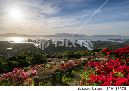 杜鵑花盛開，夕陽西下，映照著大海。 139138876