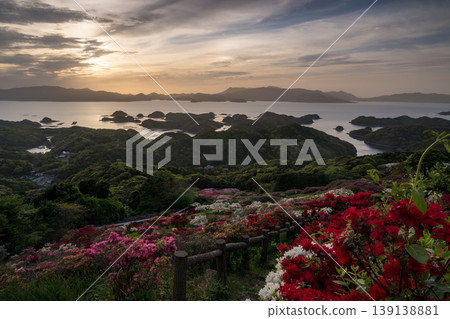 Azaleas in bloom, the sun setting over the sea Azaleas in bloom, the sun setting over the sea 139138881