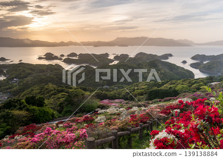 Azaleas in bloom, the sun setting over the sea Azaleas in bloom, the sun setting over the sea 139138884