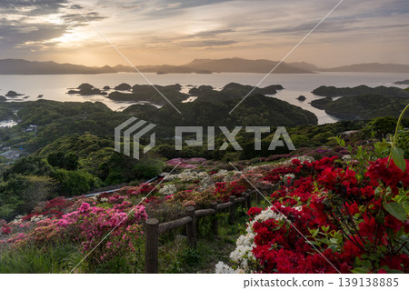 杜鵑花盛開,夕陽西下,映照著大海。 杜鵑花盛開,夕陽西下,映照著大海。 139138885