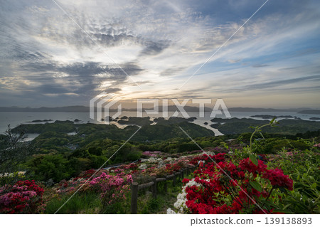 Azaleas in bloom, the sun setting over the sea Azaleas in bloom, the sun setting over the sea 139138893