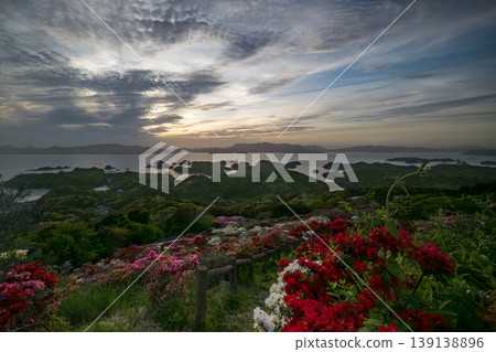 Azaleas in bloom, the sun setting over the sea 139138896