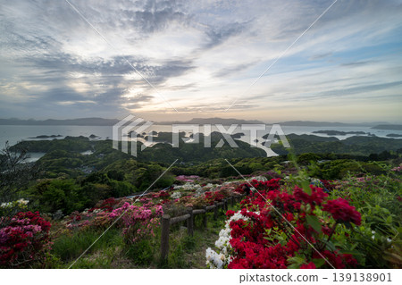 Azaleas in bloom, the sun setting over the sea Azaleas in bloom, the sun setting over the sea 139138901