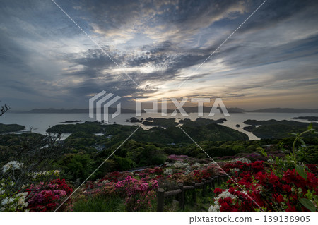 Azaleas in bloom, the sun setting over the sea Azaleas in bloom, the sun setting over the sea 139138905