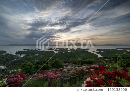 Azaleas in bloom, the sun setting over the sea 139138906