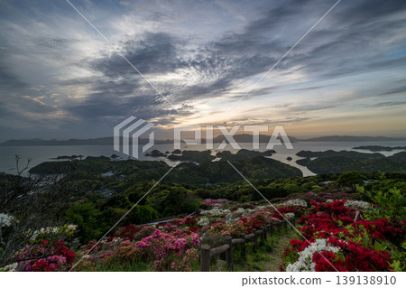 Azaleas in bloom, the sun setting over the sea Azaleas in bloom, the sun setting over the sea 139138910