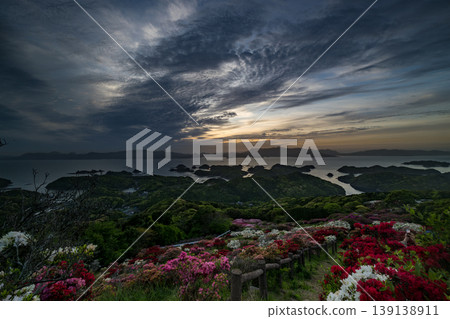 Azaleas in bloom, the sun setting over the sea Azaleas in bloom, the sun setting over the sea 139138911