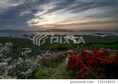 杜鵑花盛開，夕陽西下，映照著大海。 139138914
