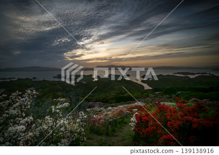 Azaleas in bloom, the sun setting over the sea Azaleas in bloom, the sun setting over the sea 139138916