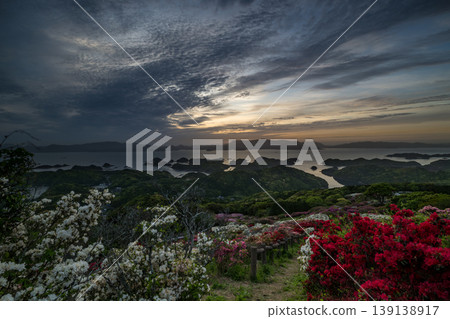 Azaleas in bloom, the sun setting over the sea 139138917