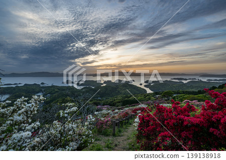 Azaleas in bloom, the sun setting over the sea Azaleas in bloom, the sun setting over the sea 139138918