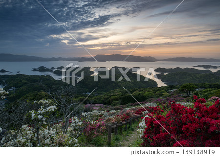 Azaleas in bloom, the sun setting over the sea Azaleas in bloom, the sun setting over the sea 139138919