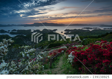 Azaleas in bloom, the sun setting over the sea Azaleas in bloom, the sun setting over the sea 139138925