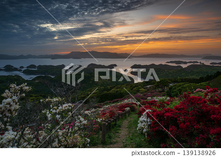 Azaleas in bloom, the sun setting over the sea Azaleas in bloom, the sun setting over the sea 139138926