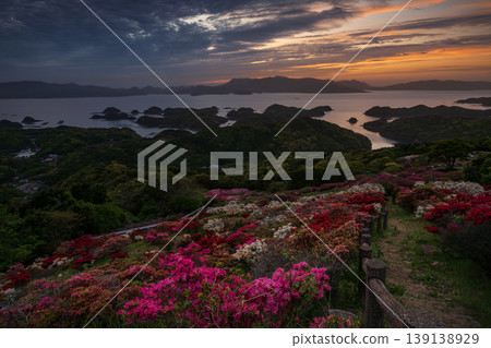 Azaleas in bloom, the sun setting over the sea Azaleas in bloom, the sun setting over the sea 139138929