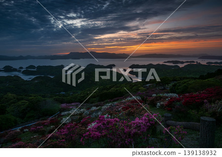 Azaleas in bloom, the sun setting over the sea Azaleas in bloom, the sun setting over the sea 139138932