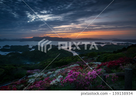 Azaleas in bloom, the sun setting over the sea Azaleas in bloom, the sun setting over the sea 139138934