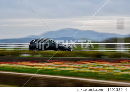 Tulips in a flowerbed and a black car 139138944