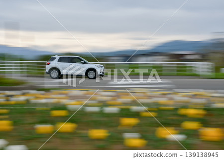 A white car passing in front of a tulip field. 139138945