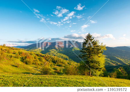 mountainous rural landscape of ukraine in spring. lovely view of valley fields. alpine meadow on a sunny afternoon. carpathian mountains countryside with forest near pasture. earth day background mountainous rural landscape of ukraine in spring. lovely view of valley fields. alpine meadow on a sunny afternoon. carpathian mountains countryside with forest near pasture. earth day background 139139572