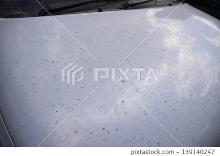 Yellow sand and dirty car Yellow sand and dirty car 139140247