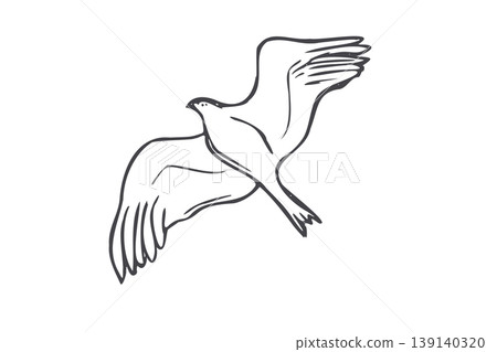 Hand drawn flying bird contour sketch. Minimalist line art isolated illustration of wild seagull in flight. Simple black outline drawing for design, tattoo, nautical theme. Birdwatching concepts. 139140320