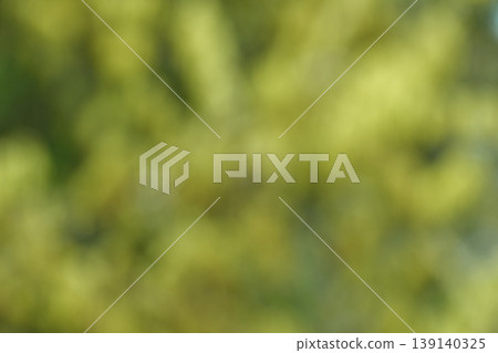 A background image featuring blurred yellow oak blossoms. A background image featuring blurred yellow oak blossoms. 139140325