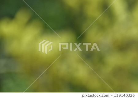 A background image featuring blurred yellow oak blossoms. A background image featuring blurred yellow oak blossoms. 139140326