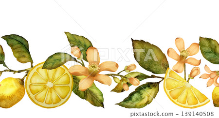 Lemons, flowers and leaves. Seamless border watercolor illustration isolated on a white background Lemons, flowers and leaves. Seamless border watercolor illustration isolated on a white background 139140508
