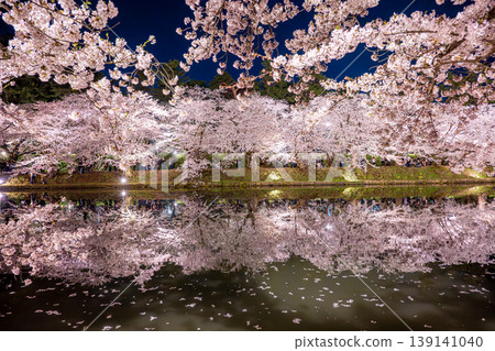 弘前公園櫻花節期間的夜景櫻花 弘前公園櫻花節期間的夜景櫻花 139141040
