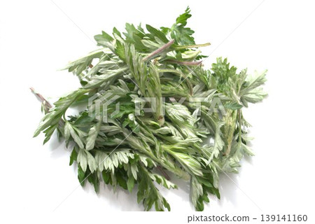 新鮮艾草葉 新鮮艾草葉 139141160