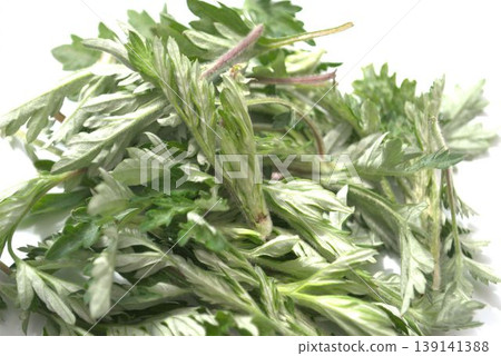 Fresh mugwort leaves Fresh mugwort leaves 139141388