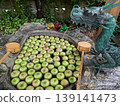 Apple and Dragon Water Basin 139141473