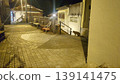 A cat that appeared at night while I was traveling 139141475