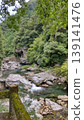 Majestic nature - trees surrounding valleys and gorges 139141476