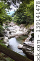 Majestic nature - trees surrounding valleys and gorges 139141478