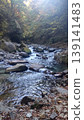 Majestic nature - trees surrounding valleys and gorges, and sunlight filtering through. 139141483