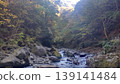 Majestic nature - trees surrounding valleys and gorges, and sunlight filtering through. 139141484
