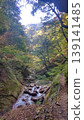 Majestic nature - trees surrounding valleys and gorges, and sunlight filtering through. 139141485