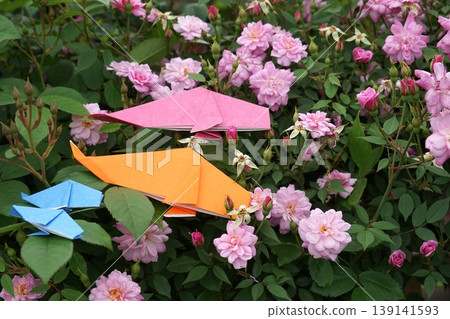 Miniature roses and carp streamers Miniature roses and carp streamers 139141593