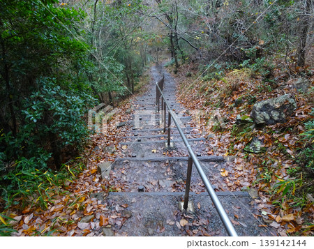 Hiking trail in Ritsunkyo Gorge (Asago City, Hyogo Prefecture) Hiking trail in Ritsunkyo Gorge (Asago City, Hyogo Prefecture) 139142144