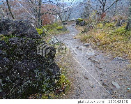 Hiking trail in Ritsunkyo Gorge (Asago City, Hyogo Prefecture) Hiking trail in Ritsunkyo Gorge (Asago City, Hyogo Prefecture) 139142158