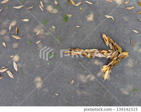 Land art of arrows made from fallen leaves on a paved road bathed in dappled sunlight - Japan Land art of arrows made from fallen leaves on a paved road bathed in dappled sunlight - Japan 139142315