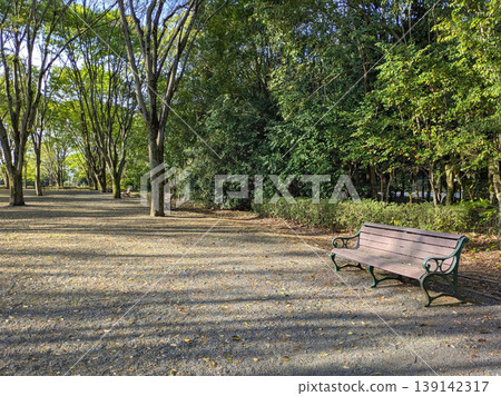 公園裡綠樹成蔭的小路沐浴在斑駁的陽光下，空中設有長椅——這是栃木縣初夏鬱鬱蔥蔥的景象。 139142317